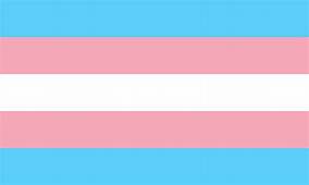 Transgender Tricolor Flag